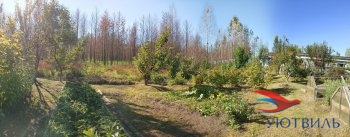 Бревенчатый дом в СНТ Ветеран в Химках - himki.yutvil.ru - фото 12 Бревенчатый дом в СНТ Ветеран в Химках - himki.yutvil.ru - фото 12