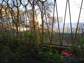 улица Калинина,31 в Химках - himki.yutvil.ru - фото 5 улица Калинина,31 в Химках - himki.yutvil.ru - фото 5