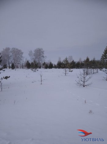 Земельный участок поселок Баженово в Химках - himki.yutvil.ru - фото 2