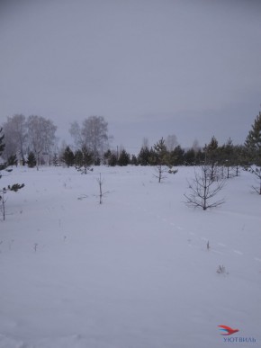 Баженово ул Южная д 7 в Химках - himki.yutvil.ru - фото 2