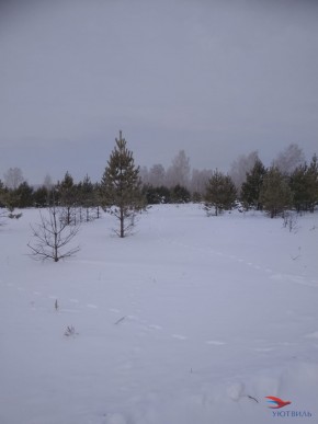 Баженово ул Южная д 7 в Химках - himki.yutvil.ru - фото 5