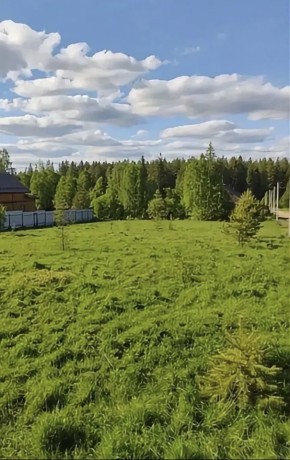 ДП Родной в Химках - himki.yutvil.ru - фото 3