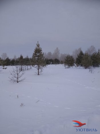 Земельный участок поселок Баженово в Химках - himki.yutvil.ru - фото 5 Земельный участок поселок Баженово в Химках - himki.yutvil.ru - фото 5
