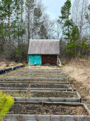 СНТ Родники в Химках - himki.yutvil.ru - фото 7 СНТ Родники в Химках - himki.yutvil.ru - фото 7