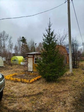 СНТ Родники в Химках - himki.yutvil.ru - фото 5 СНТ Родники в Химках - himki.yutvil.ru - фото 5