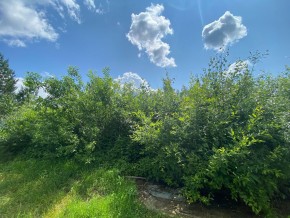 СПК Юбилейный, уч. 9 в Химках - himki.yutvil.ru - фото 15