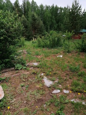 СТН Семья №112, Верхняя пышма на землях бывшего подсобного хозяйтва верхнепышминского опытного завода в Химках - himki.yutvil.ru - фото 17 СТН Семья №112, Верхняя пышма на землях бывшего подсобного хозяйтва верхнепышминского опытного завода в Химках - himki.yutvil.ru - фото 17