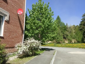 ул. Сосновая, 8 в Химках - himki.yutvil.ru - фото 25