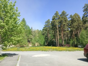 ул. Сосновая, 8 в Химках - himki.yutvil.ru - фото 26