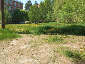 ул. Сосновая, 8 в Химках - himki.yutvil.ru - фото 33