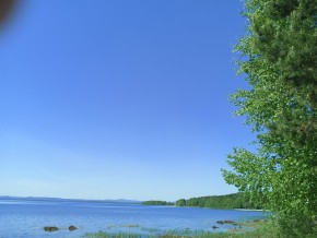 ул. Сосновая, 8 в Химках - himki.yutvil.ru - фото 34